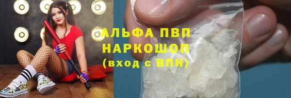 сатива Баксан