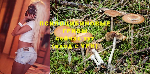 сатива Баксан
