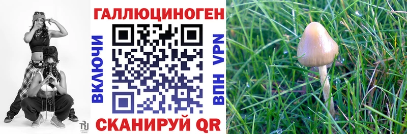 Галлюциногенные грибы MAGIC MUSHROOMS  Ульяновск 