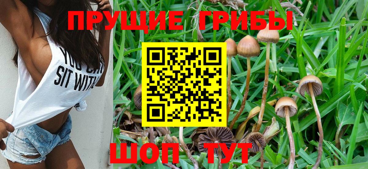 Галлюциногенные грибы ЛСД Ульяновск