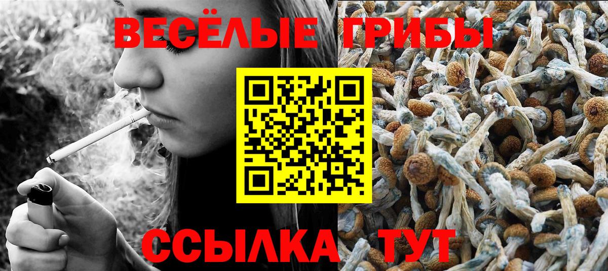 Галлюциногенные грибы GOLDEN TEACHER  сколько стоит  Ульяновск  Вход с VPN 